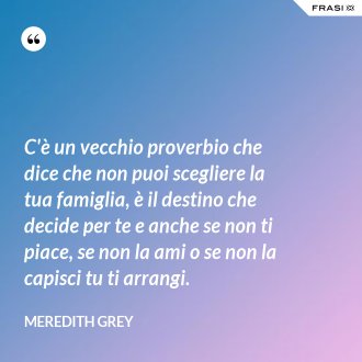 C'è un vecchio proverbio che dice che non puoi scegliere la tua famiglia, è il destino che decide per te e anche se non ti piace, se non la ami o se non la capisci tu ti arrangi. - Meredith Grey