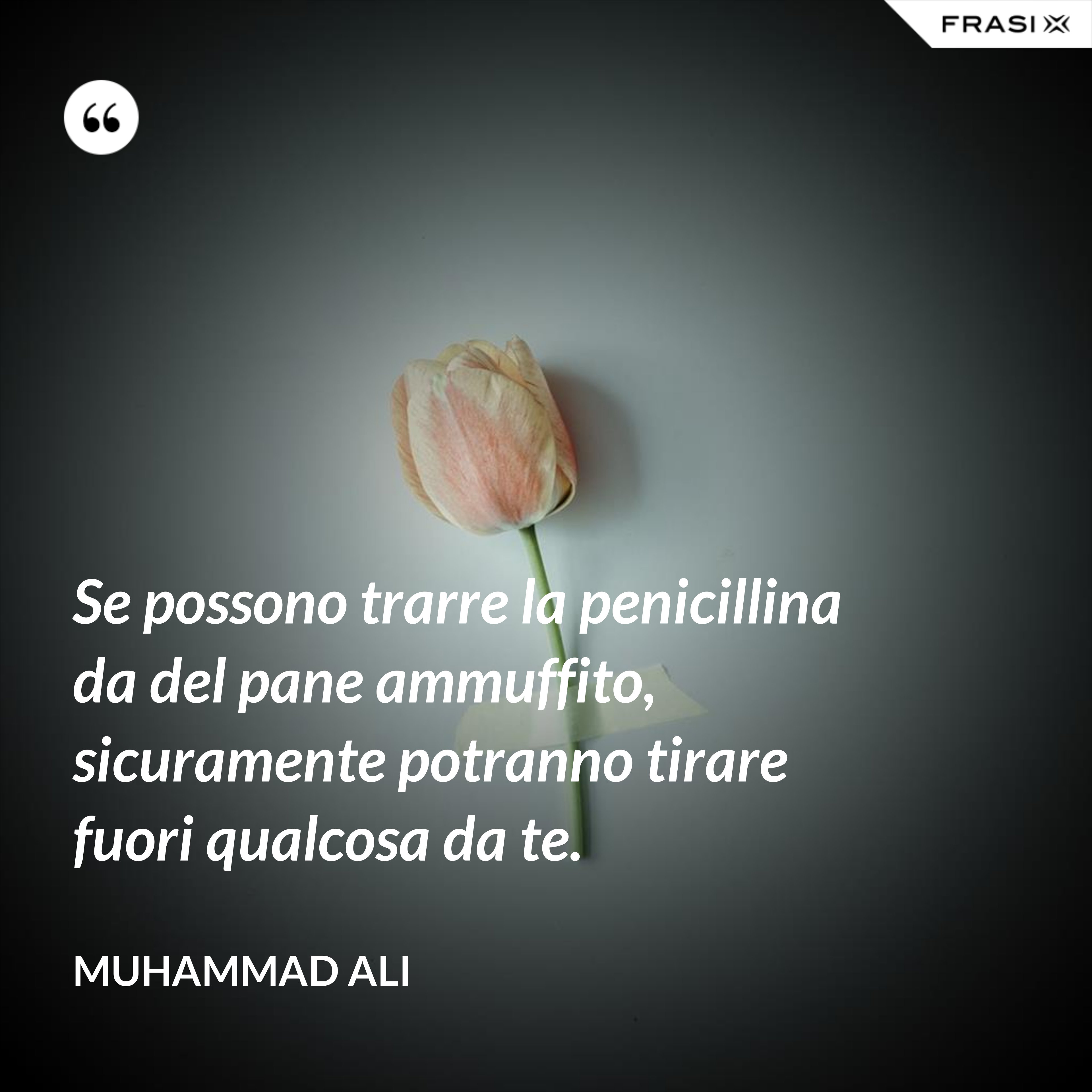 Se possono trarre la penicillina da del pane ammuffito, sicuramente potranno tirare fuori qualcosa da te. - Muhammad Ali
