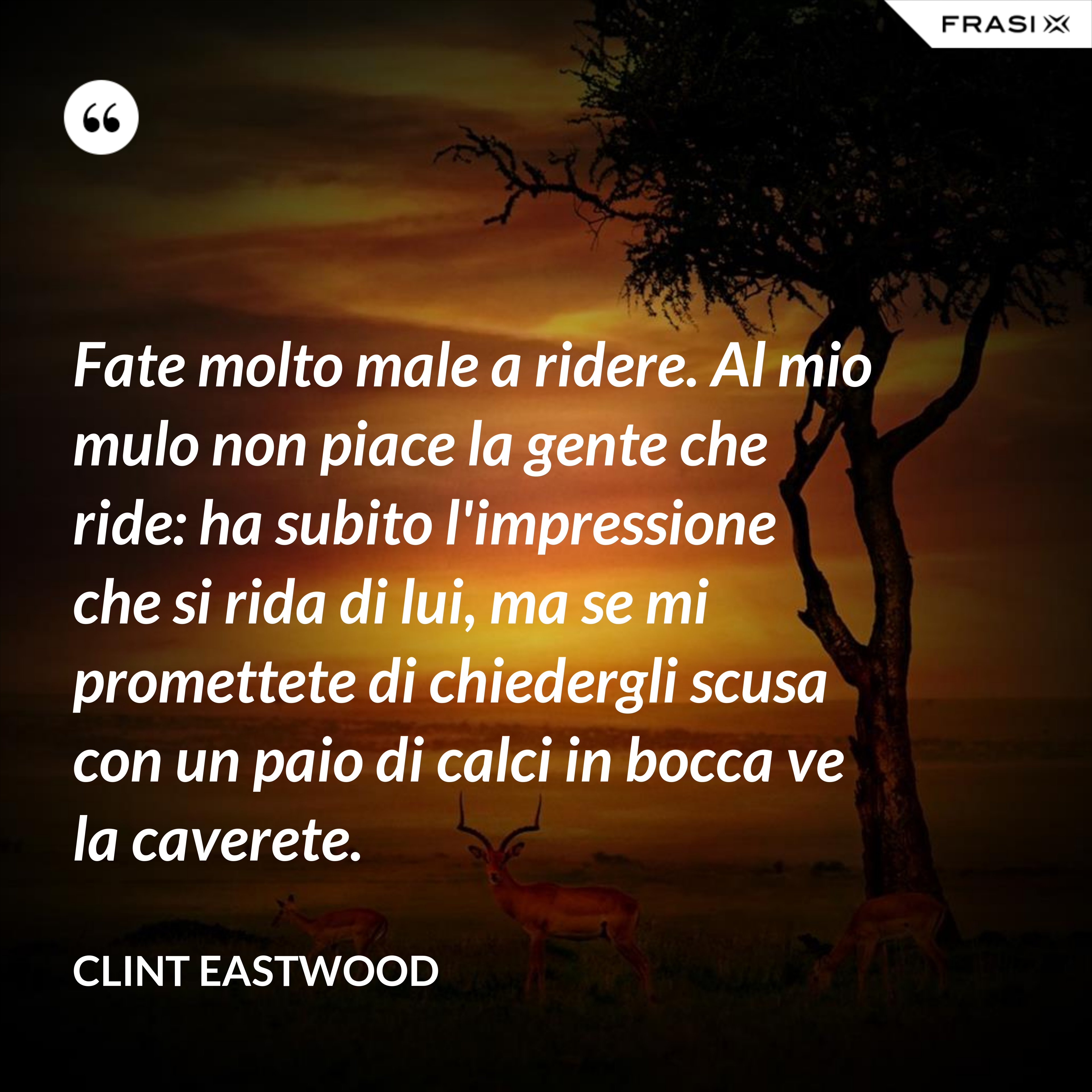 Fate molto male a ridere. Al mio mulo non piace la gente che ride: ha subito l'impressione che si rida di lui, ma se mi promettete di chiedergli scusa con un paio di calci in bocca ve la caverete. - Clint Eastwood