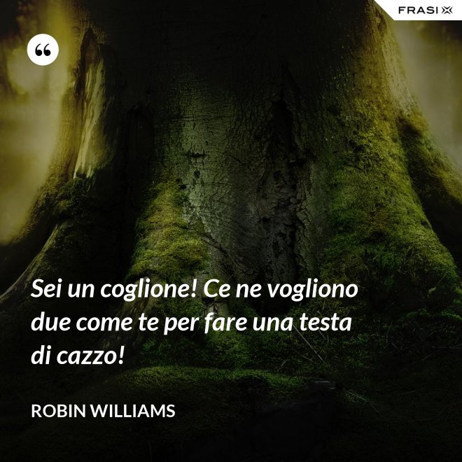 Sei un coglione! Ce ne vogliono due come te per fare una testa di cazzo! - Robin Williams