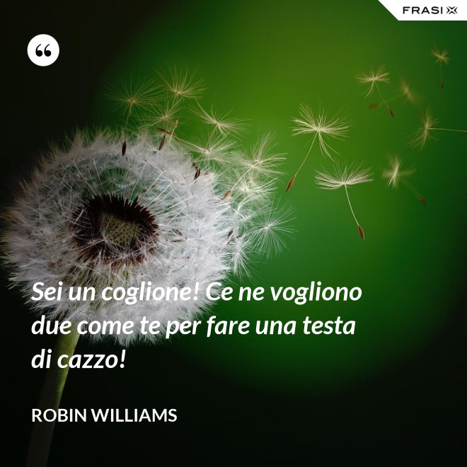 Sei un coglione! Ce ne vogliono due come te per fare una testa di cazzo! - Robin Williams