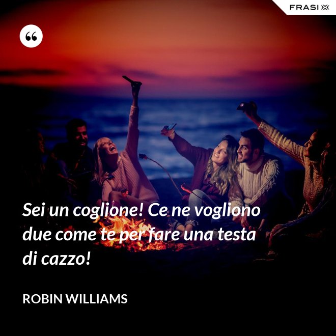 Sei un coglione! Ce ne vogliono due come te per fare una testa di cazzo! - Robin Williams