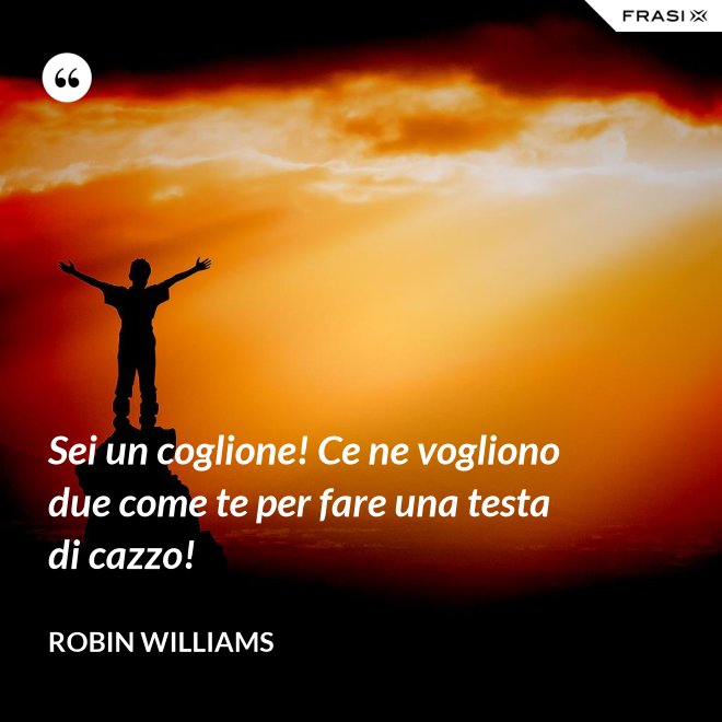 Sei un coglione! Ce ne vogliono due come te per fare una testa di cazzo! - Robin Williams
