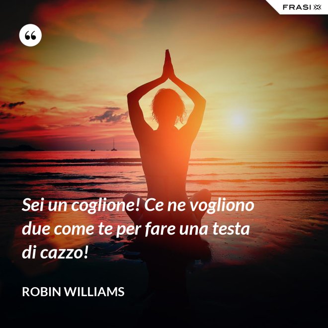 Sei un coglione! Ce ne vogliono due come te per fare una testa di cazzo! - Robin Williams