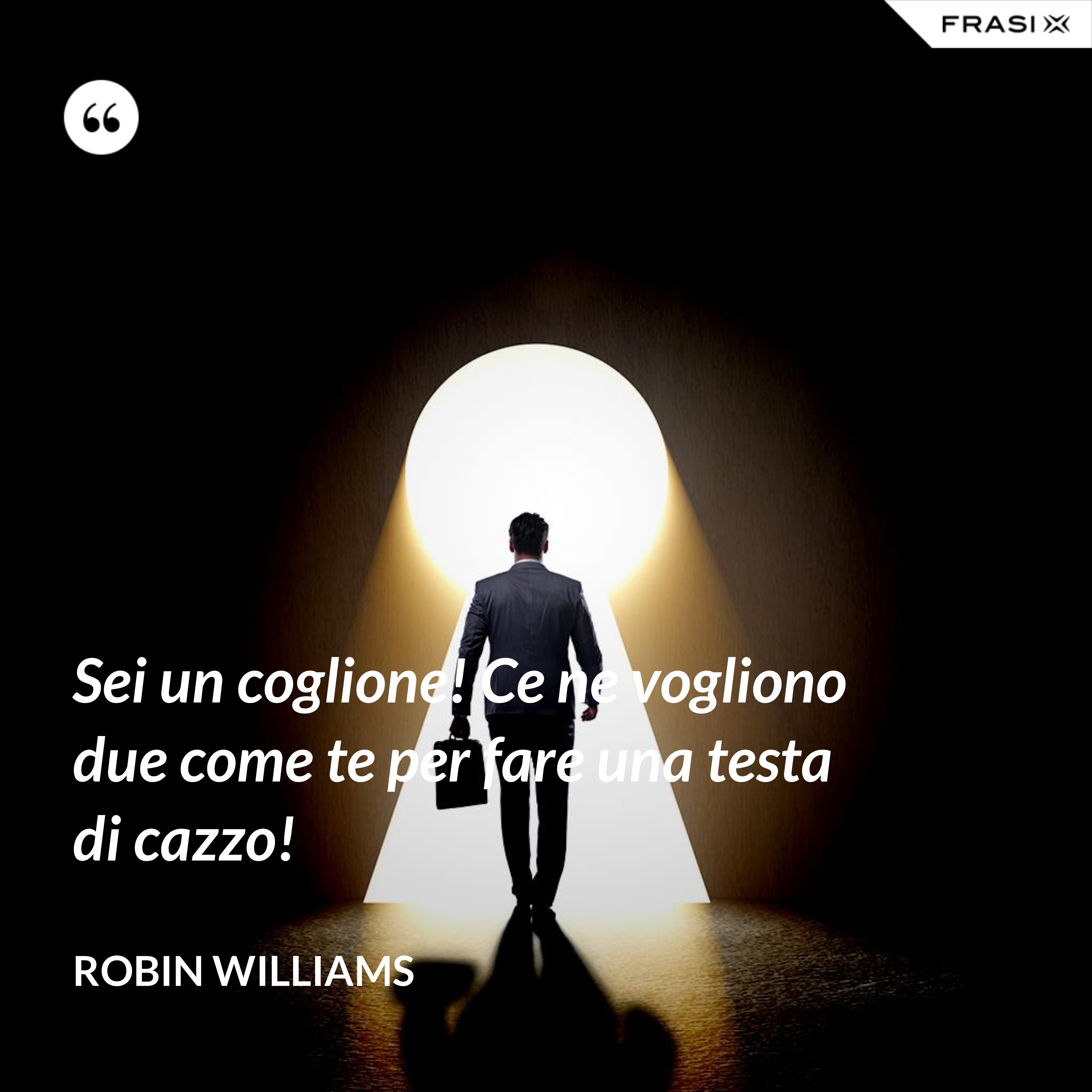 Sei un coglione! Ce ne vogliono due come te per fare una testa di cazzo! - Robin Williams