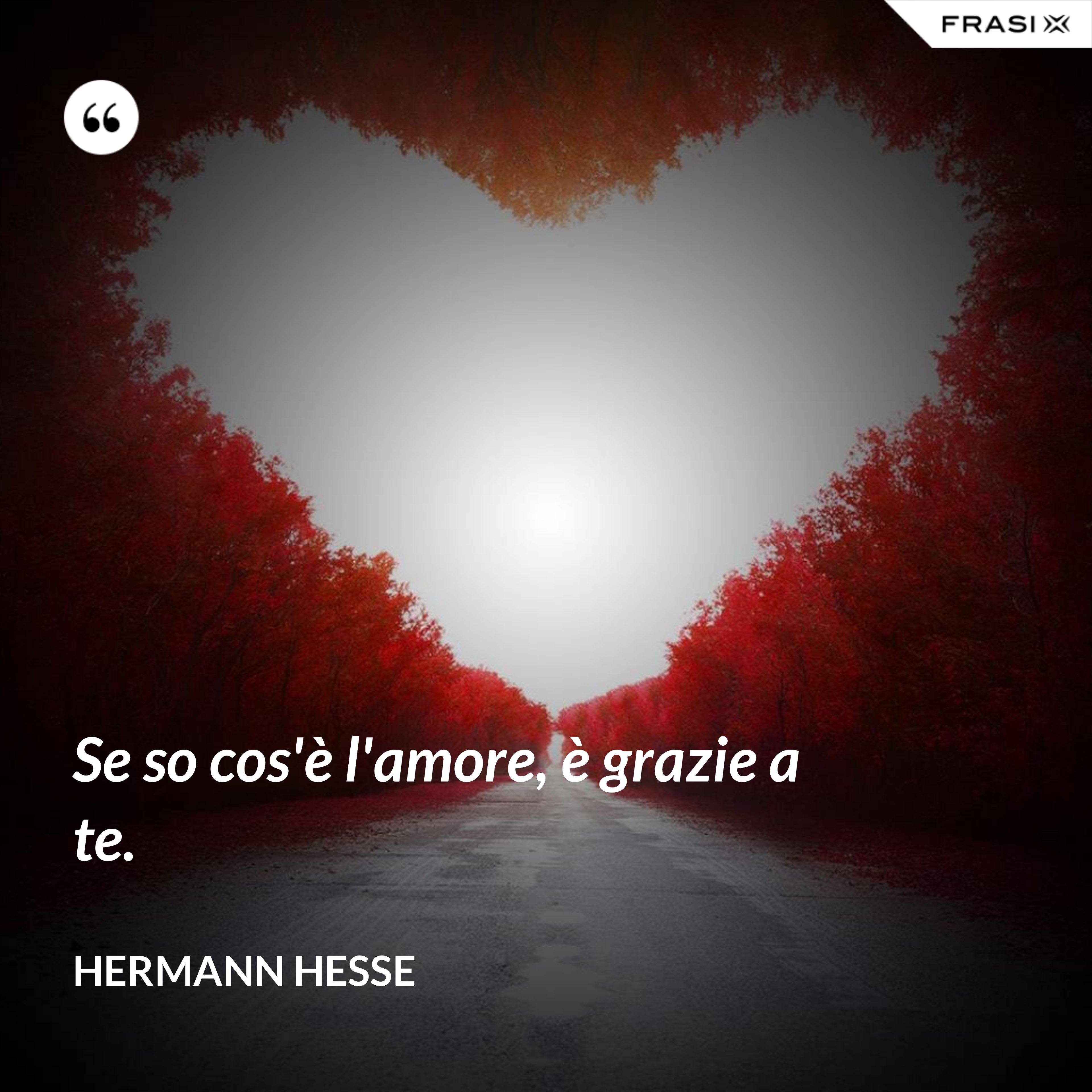 Se so cos'è l'amore, è grazie a te. - Hermann Hesse