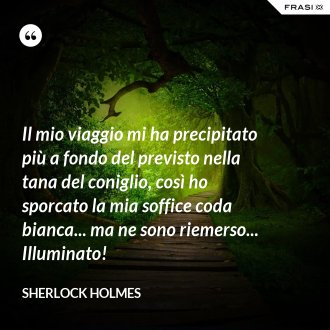 Il mio viaggio mi ha precipitato più a fondo del previsto nella tana del coniglio, così ho sporcato la mia soffice coda bianca... ma ne sono riemerso... Illuminato! - Sherlock Holmes