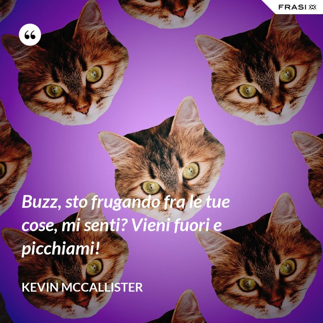 Buzz, sto frugando fra le tue cose, mi senti? Vieni fuori e picchiami! - Kevin McCallister
