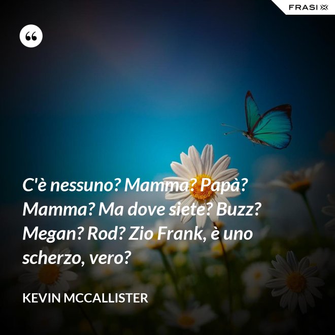 C'è nessuno? Mamma? Papà? Mamma? Ma dove siete? Buzz? Megan? Rod? Zio Frank, è uno scherzo, vero? - Kevin McCallister