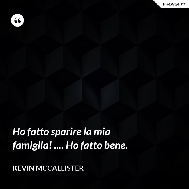 Ho fatto sparire la mia famiglia! .... Ho fatto bene. - Kevin McCallister
