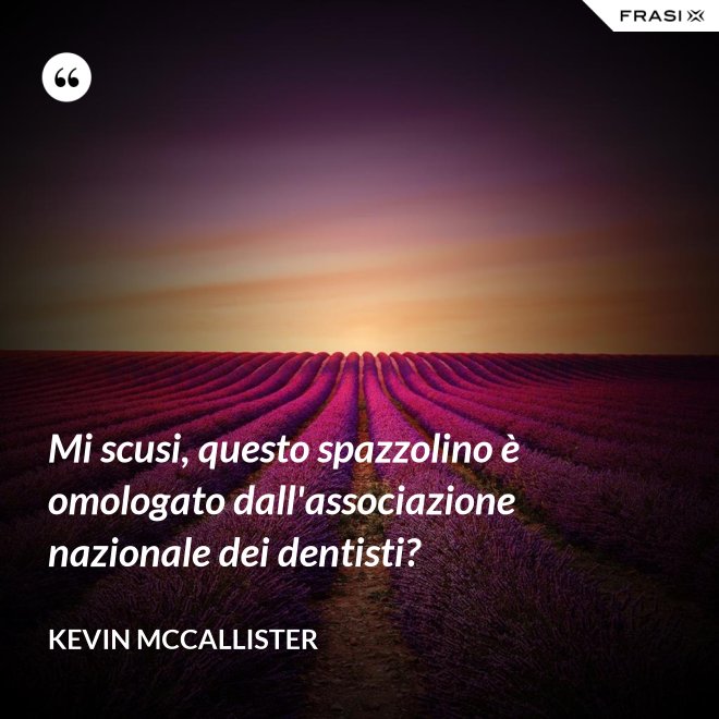 Mi scusi, questo spazzolino è omologato dall'associazione nazionale dei dentisti? - Kevin McCallister