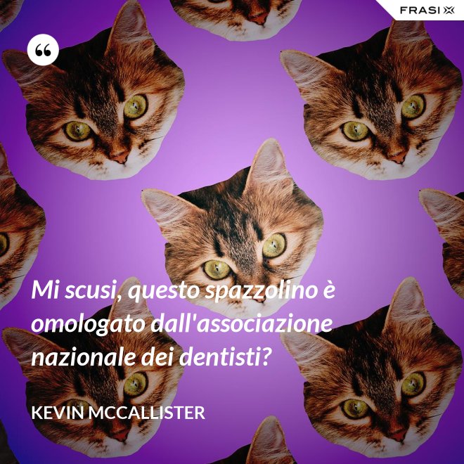 Mi scusi, questo spazzolino è omologato dall'associazione nazionale dei dentisti? - Kevin McCallister