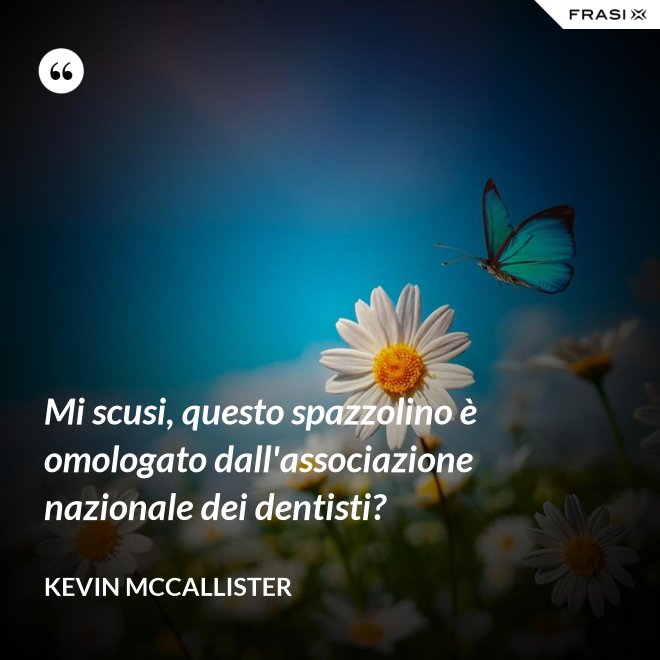 Mi scusi, questo spazzolino è omologato dall'associazione nazionale dei dentisti? - Kevin McCallister