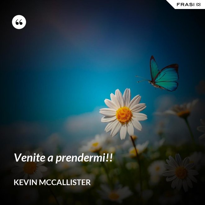 Venite a prendermi!! - Kevin McCallister