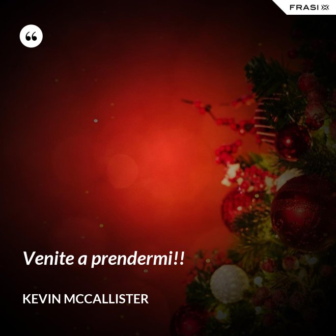 Venite a prendermi!! - Kevin McCallister