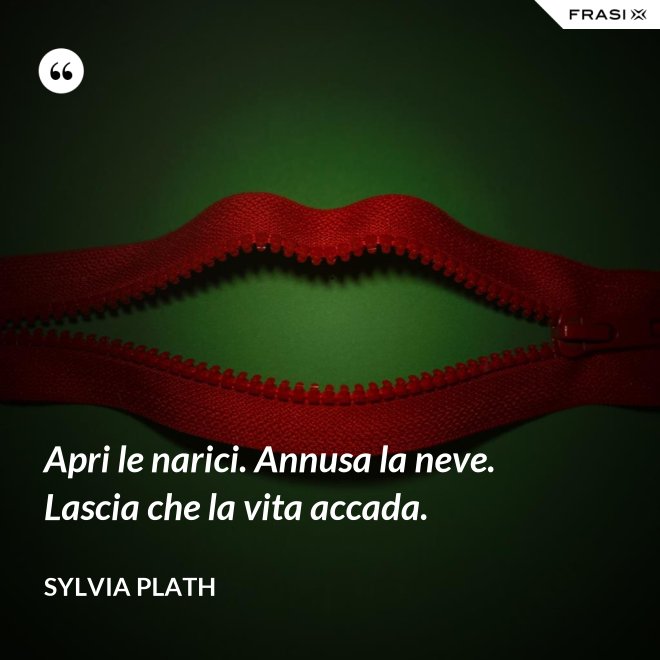 Apri le narici. Annusa la neve. Lascia che la vita accada. - Sylvia Plath