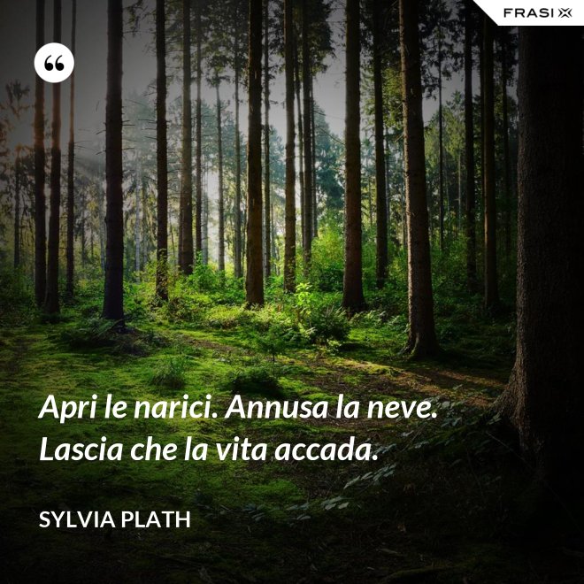 Apri le narici. Annusa la neve. Lascia che la vita accada. - Sylvia Plath