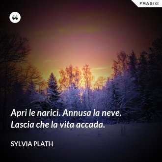 Apri le narici. Annusa la neve. Lascia che la vita accada. - Sylvia Plath