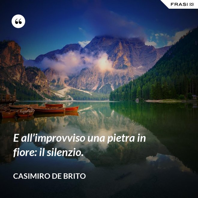 E all’improvviso una pietra in fiore: il silenzio. - Casimiro De Brito