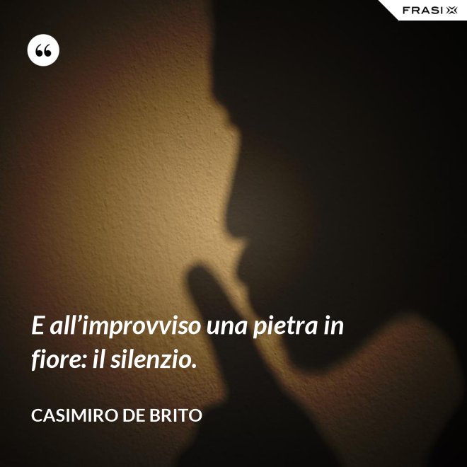 E all’improvviso una pietra in fiore: il silenzio. - Casimiro De Brito