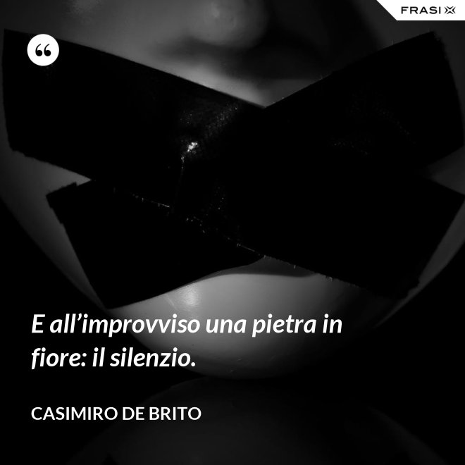 E all’improvviso una pietra in fiore: il silenzio. - Casimiro De Brito