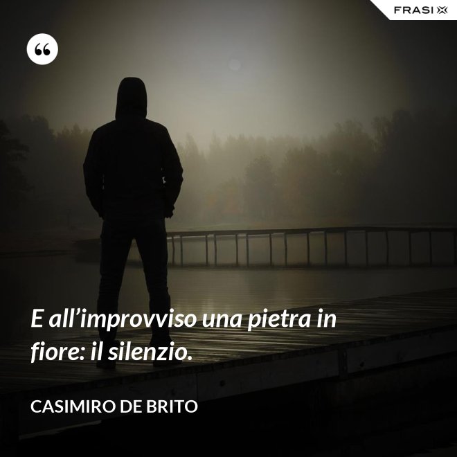 E all’improvviso una pietra in fiore: il silenzio. - Casimiro De Brito