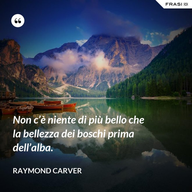 Non c’è niente di più bello che la bellezza dei boschi prima dell’alba. - Raymond Carver
