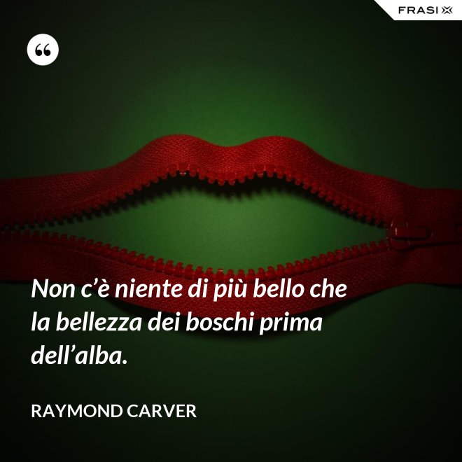 Non c’è niente di più bello che la bellezza dei boschi prima dell’alba. - Raymond Carver