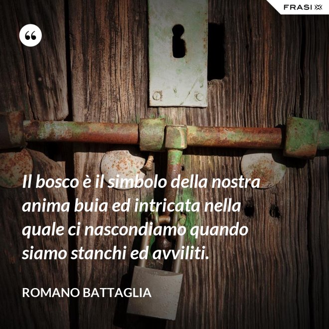 Il bosco è il simbolo della nostra anima buia ed intricata nella quale ci nascondiamo quando siamo stanchi ed avviliti. - Romano Battaglia