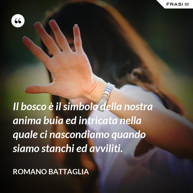 Il bosco è il simbolo della nostra anima buia ed intricata nella quale ci nascondiamo quando siamo stanchi ed avviliti. - Romano Battaglia