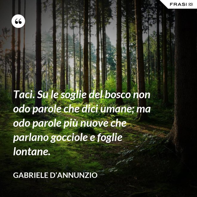 Taci. Su le soglie del bosco non odo parole che dici umane; ma odo parole più nuove che parlano gocciole e foglie lontane. - Gabriele D’Annunzio