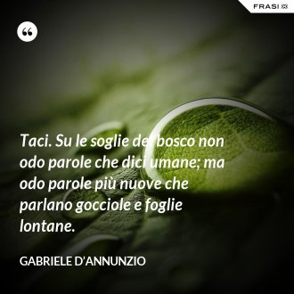 Gabriele D Annunzio 25 Frasi Celebri E D Amore