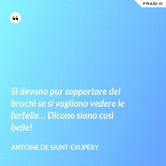 Si devono pur sopportare dei bruchi se si vogliono vedere le farfalle… Dicono siano così belle! - Antoine de Saint-Exupèry