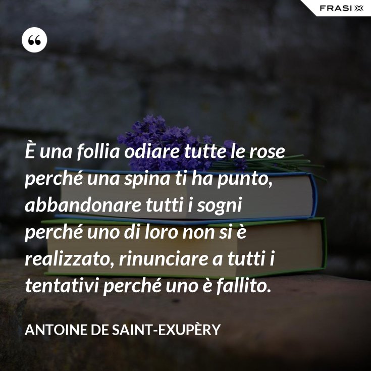 È una follia odiare tutte le rose perché una spina ti ha punto, abbandonare tutti i sogni perché