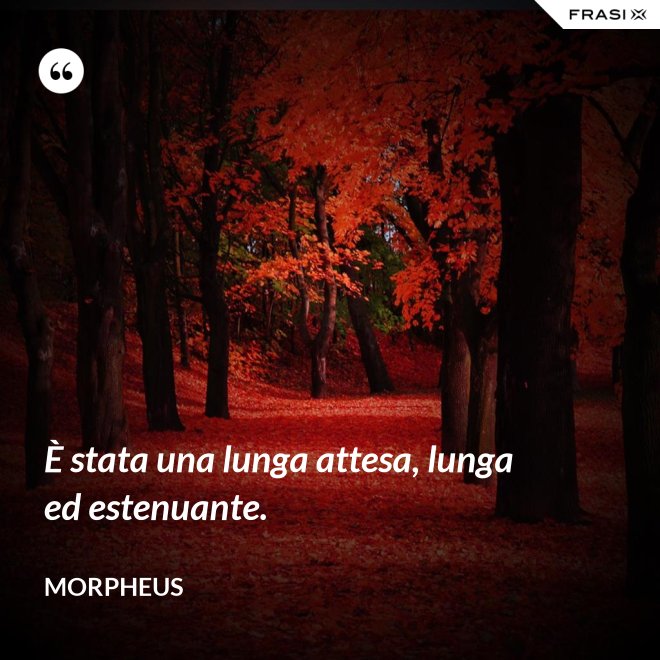 È stata una lunga attesa, lunga ed estenuante. - Morpheus