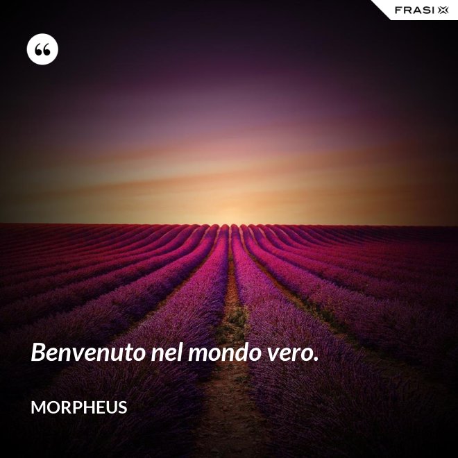 Benvenuto nel mondo vero. - Morpheus