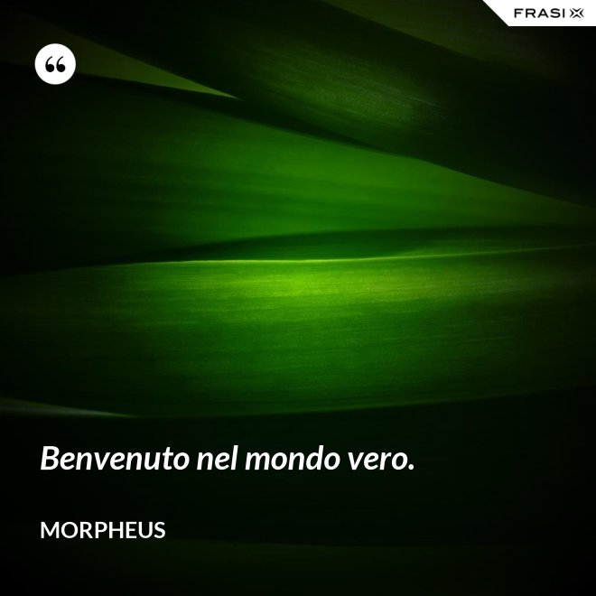 Benvenuto nel mondo vero. - Morpheus
