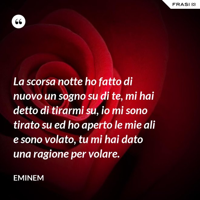 La scorsa notte ho fatto di nuovo un sogno su di te, mi hai detto di tirarmi su, io mi sono tirato su ed ho aperto le mie ali e sono volato, tu mi hai dato una ragione per volare. - Eminem