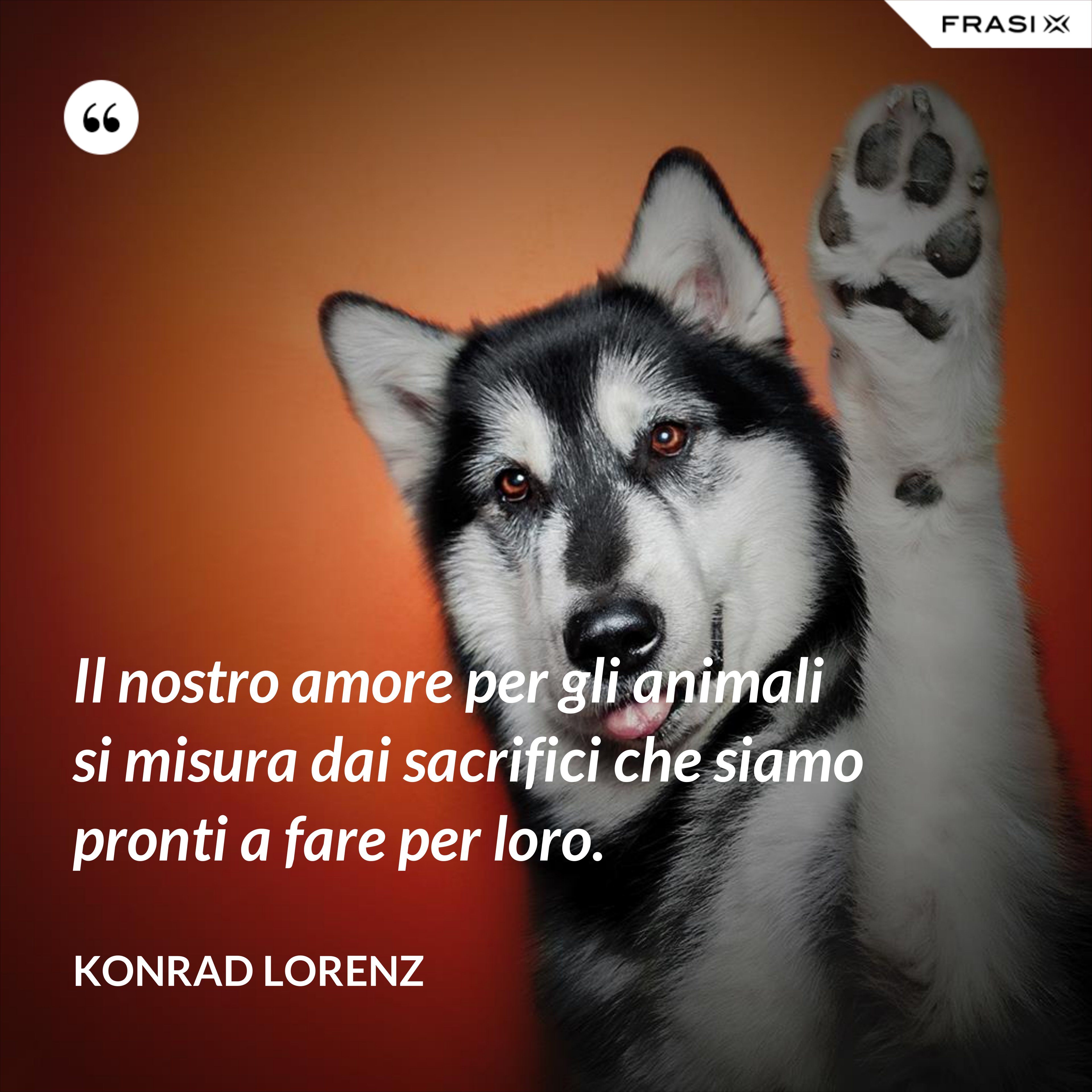 Il nostro amore per gli animali si misura dai sacrifici che siamo pronti a fare per loro. - Konrad Lorenz