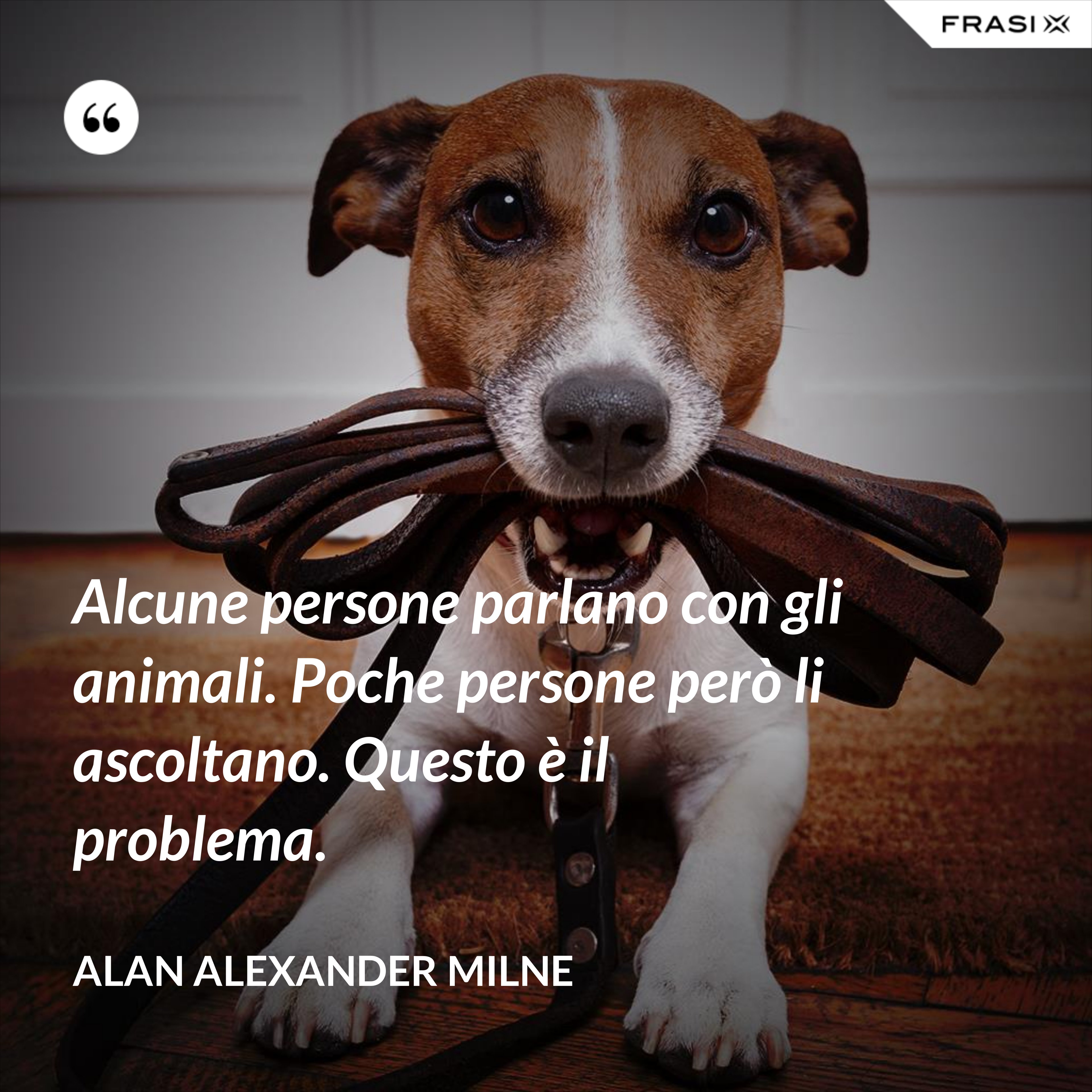Alcune persone parlano con gli animali. Poche persone però li ascoltano. Questo è il problema. - Alan Alexander Milne