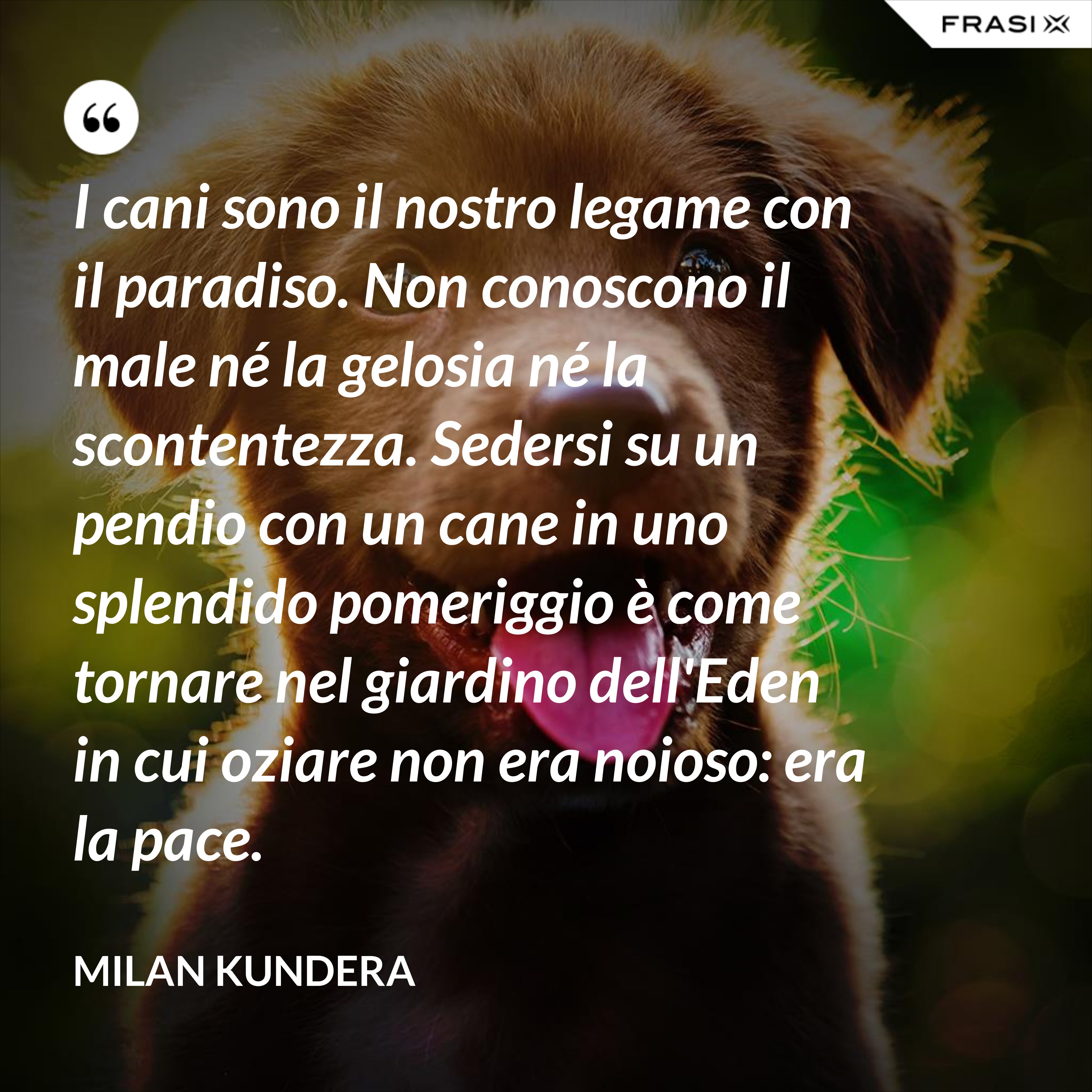 I cani sono il nostro legame con il paradiso. Non conoscono il male né la gelosia né la scontentezza. Sedersi su un pendio con un cane in uno splendido pomeriggio è come tornare nel giardino dell'Eden in cui oziare non era noioso: era la pace. - Milan Kundera