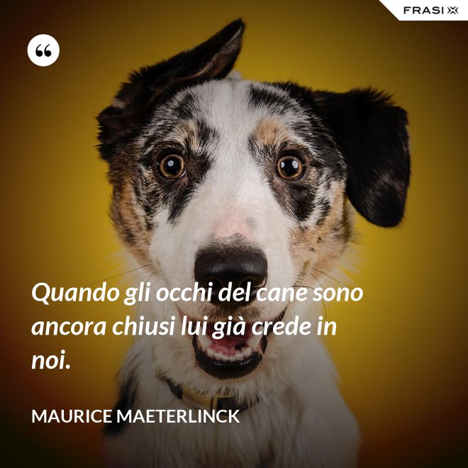 Quando gli occhi del cane sono ancora chiusi lui già crede in noi. - Maurice Maeterlinck