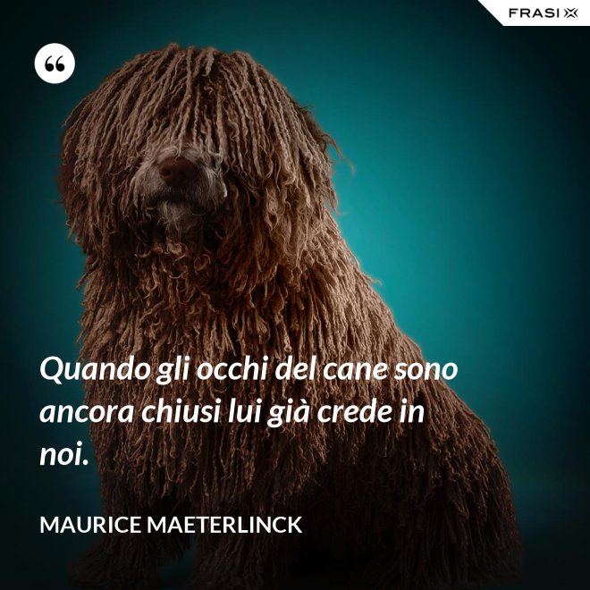 Quando gli occhi del cane sono ancora chiusi lui già crede in noi. - Maurice Maeterlinck