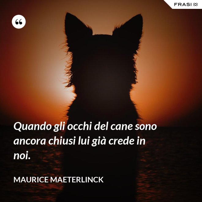 Quando gli occhi del cane sono ancora chiusi lui già crede in noi. - Maurice Maeterlinck