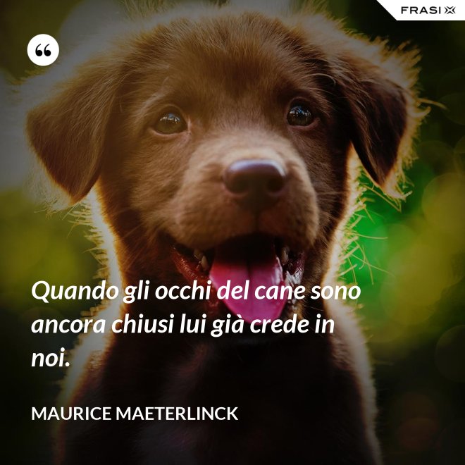 Quando gli occhi del cane sono ancora chiusi lui già crede in noi. - Maurice Maeterlinck