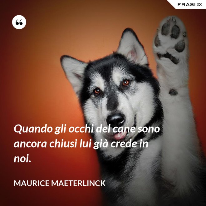Quando gli occhi del cane sono ancora chiusi lui già crede in noi. - Maurice Maeterlinck