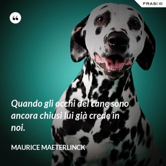 Quando gli occhi del cane sono ancora chiusi lui già crede in noi. - Maurice Maeterlinck