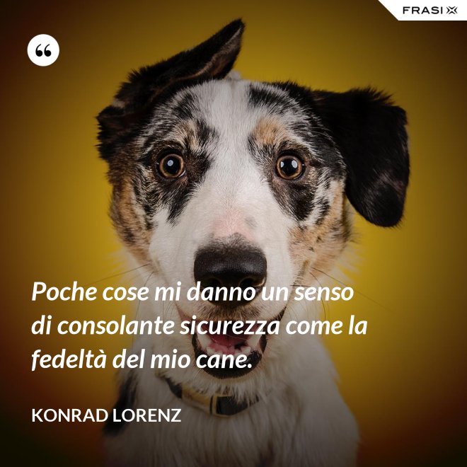 Poche cose mi danno un senso di consolante sicurezza come la fedeltà del mio cane. - Konrad Lorenz