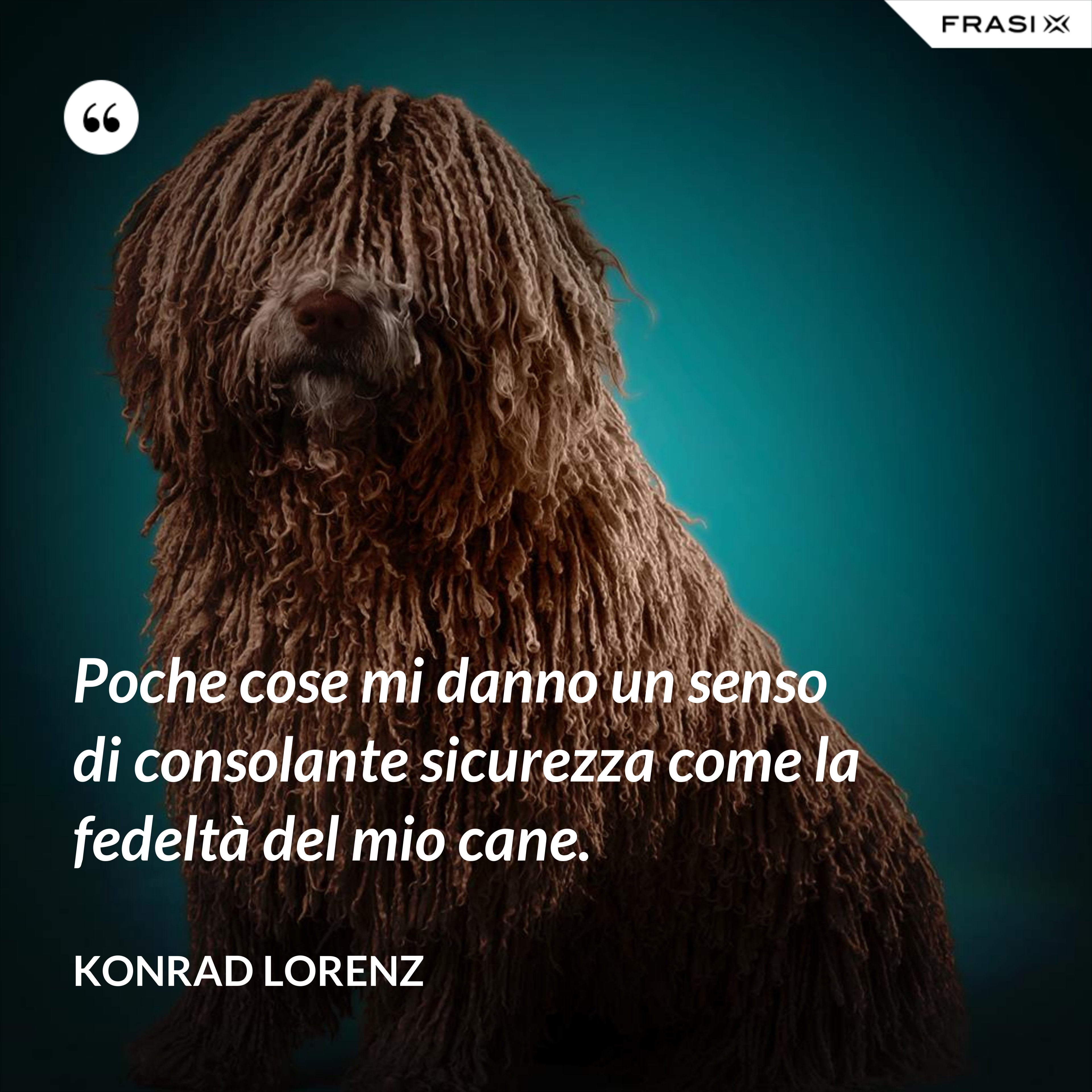 Poche cose mi danno un senso di consolante sicurezza come la fedeltà del mio cane. - Konrad Lorenz