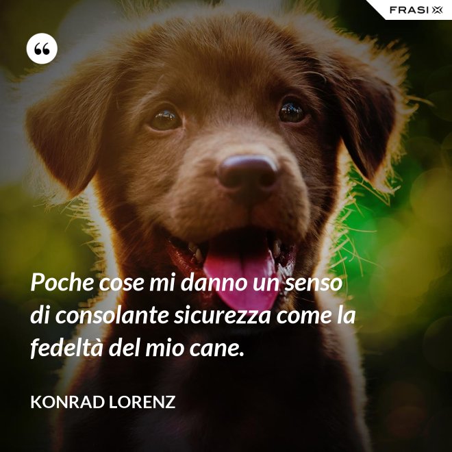 Poche cose mi danno un senso di consolante sicurezza come la fedeltà del mio cane. - Konrad Lorenz